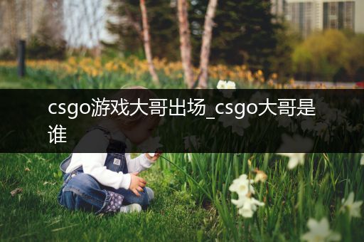 csgo游戏大哥出场_csgo大哥是谁