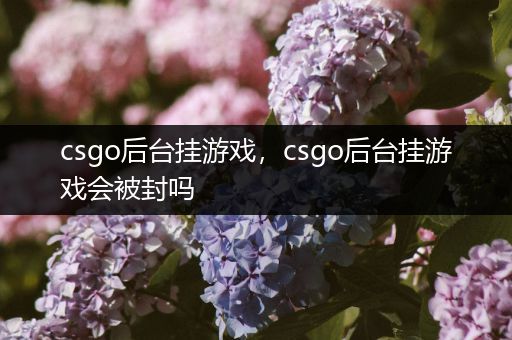 csgo后台挂游戏，csgo后台挂游戏会被封吗