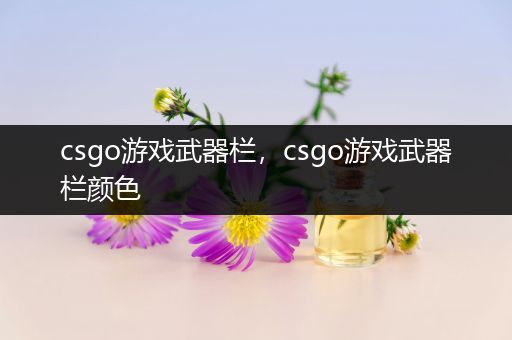 csgo游戏武器栏，csgo游戏武器栏颜色