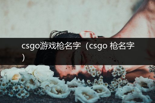 csgo游戏枪名字（csgo 枪名字）