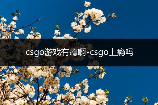 csgo游戏有瘾啊-csgo上瘾吗