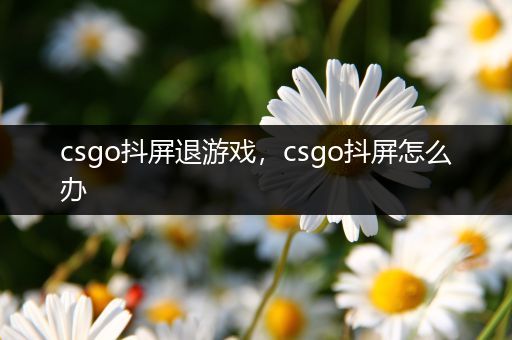 csgo抖屏退游戏，csgo抖屏怎么办