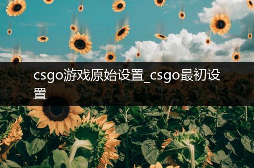 csgo游戏原始设置_csgo最初设置