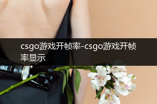 csgo游戏开帧率-csgo游戏开帧率显示