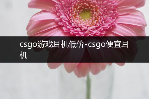 csgo游戏耳机低价-csgo便宜耳机