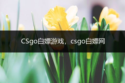 CSgo白嫖游戏，csgo白嫖网