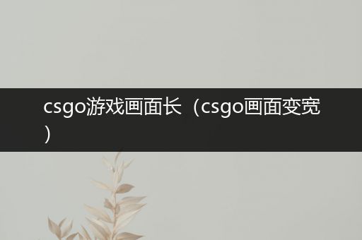 csgo游戏画面长（csgo画面变宽）