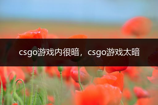 csgo游戏内很暗，csgo游戏太暗