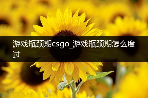 游戏瓶颈期csgo_游戏瓶颈期怎么度过