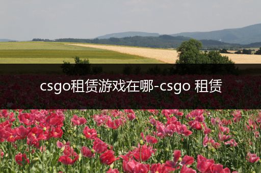 csgo租赁游戏在哪-csgo 租赁