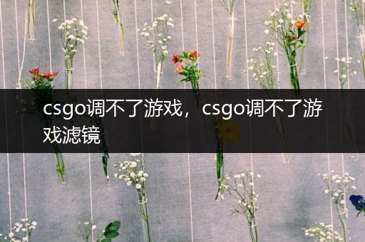 csgo调不了游戏，csgo调不了游戏滤镜