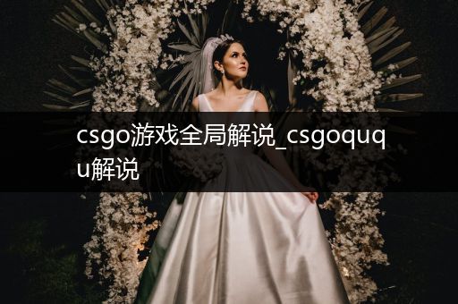 csgo游戏全局解说_csgoququ解说