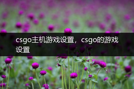 csgo主机游戏设置，csgo的游戏设置