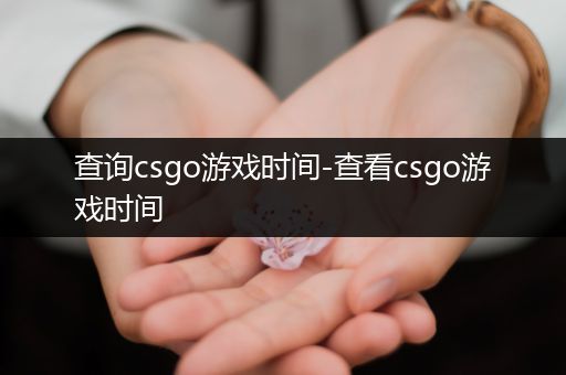 查询csgo游戏时间-查看csgo游戏时间