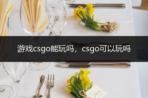 游戏csgo能玩吗，csgo可以玩吗