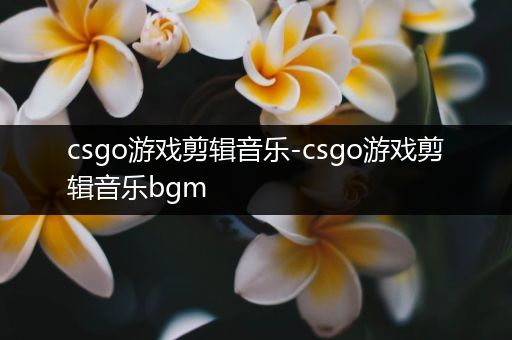 csgo游戏剪辑音乐-csgo游戏剪辑音乐bgm