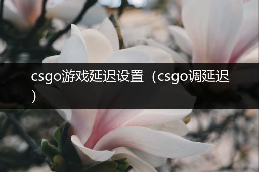 csgo游戏延迟设置（csgo调延迟）