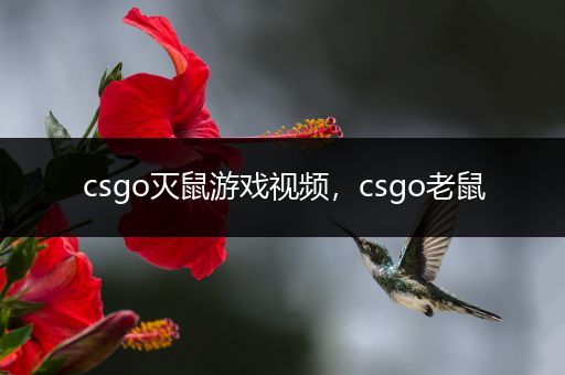 csgo灭鼠游戏视频，csgo老鼠