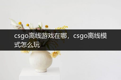 csgo离线游戏在哪，csgo离线模式怎么玩