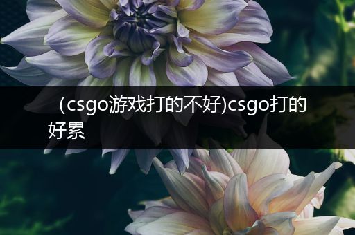 （csgo游戏打的不好)csgo打的好累