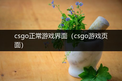 csgo正常游戏界面（csgo游戏页面）