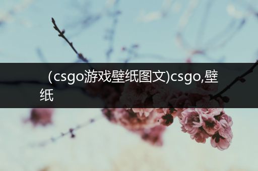 （csgo游戏壁纸图文)csgo,壁纸