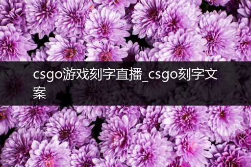 csgo游戏刻字直播_csgo刻字文案