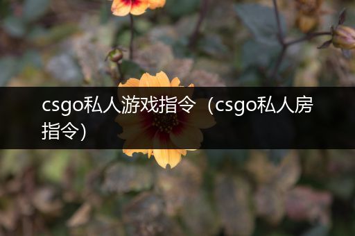 csgo私人游戏指令（csgo私人房指令）