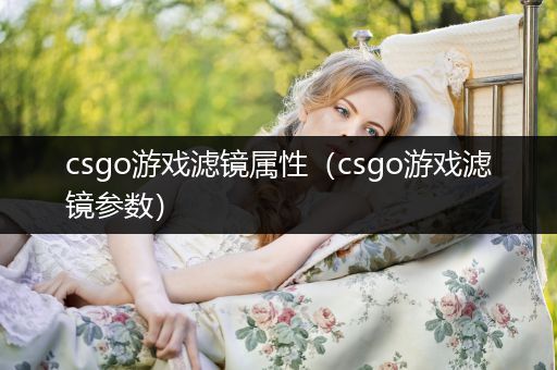 csgo游戏滤镜属性（csgo游戏滤镜参数）