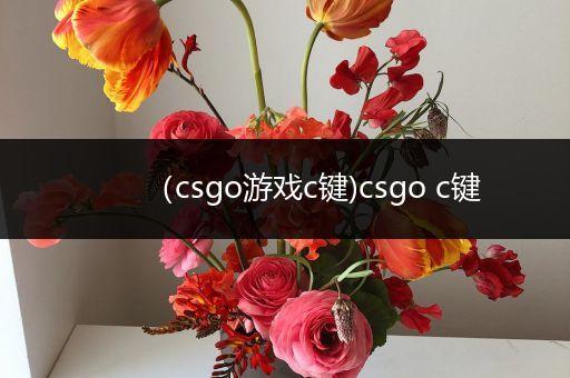 （csgo游戏c键)csgo c键