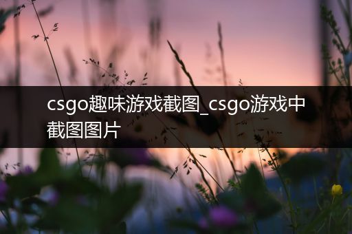 csgo趣味游戏截图_csgo游戏中截图图片