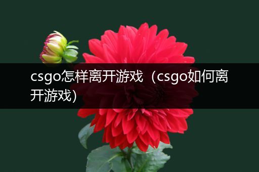 csgo怎样离开游戏（csgo如何离开游戏）