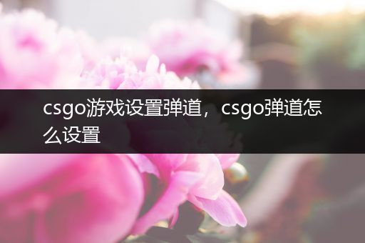 csgo游戏设置弹道，csgo弹道怎么设置