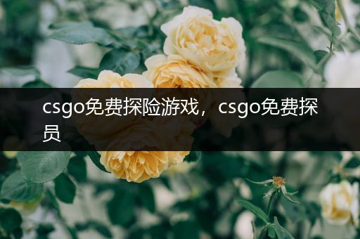 csgo免费探险游戏，csgo免费探员