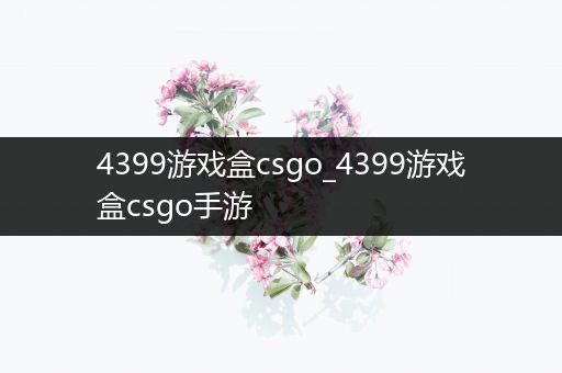 4399游戏盒csgo_4399游戏盒csgo手游