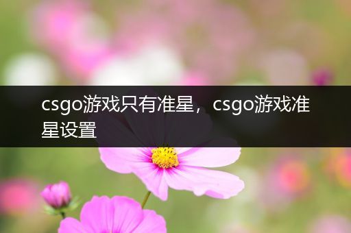 csgo游戏只有准星，csgo游戏准星设置