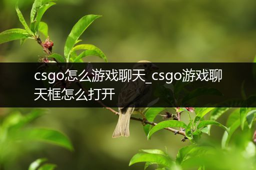csgo怎么游戏聊天_csgo游戏聊天框怎么打开
