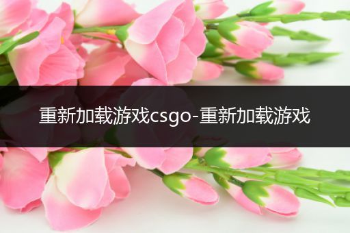 重新加载游戏csgo-重新加载游戏