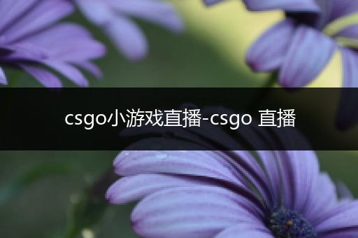 csgo小游戏直播-csgo 直播