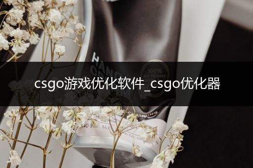 csgo游戏优化软件_csgo优化器