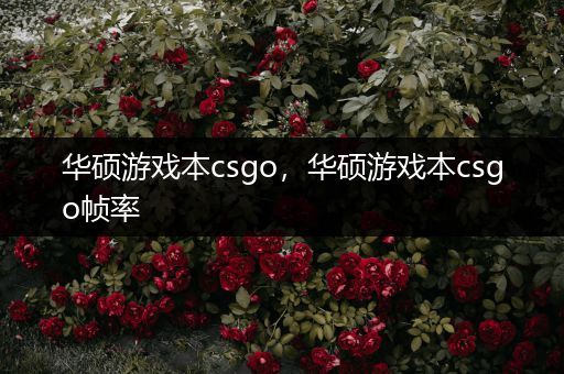 华硕游戏本csgo，华硕游戏本csgo帧率