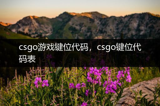 csgo游戏键位代码，csgo键位代码表