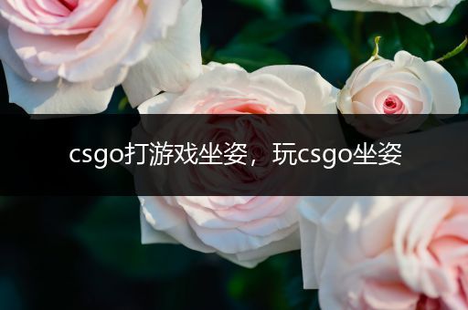 csgo打游戏坐姿，玩csgo坐姿