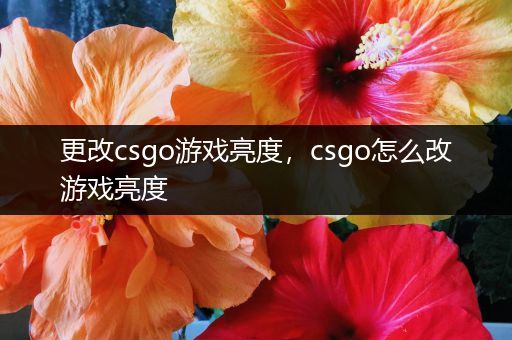 更改csgo游戏亮度，csgo怎么改游戏亮度