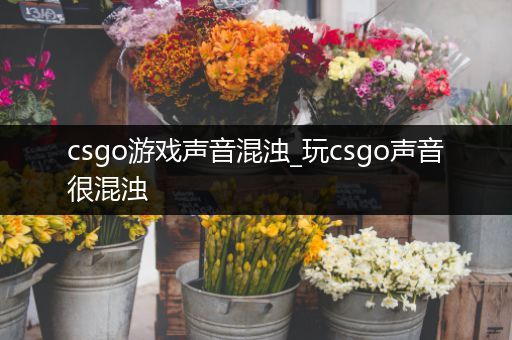 csgo游戏声音混浊_玩csgo声音很混浊