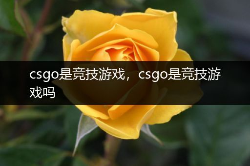 csgo是竞技游戏，csgo是竞技游戏吗