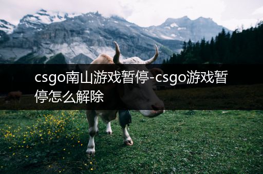 csgo南山游戏暂停-csgo游戏暂停怎么解除