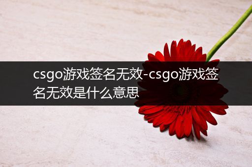 csgo游戏签名无效-csgo游戏签名无效是什么意思