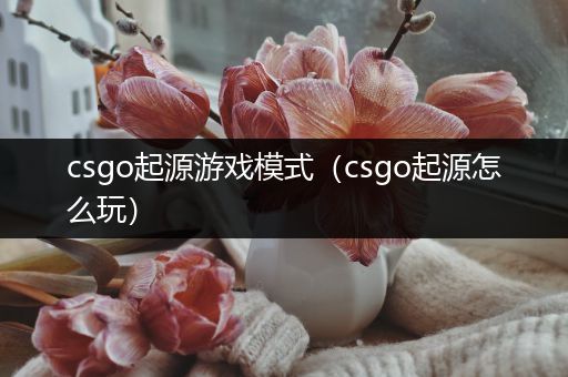 csgo起源游戏模式（csgo起源怎么玩）