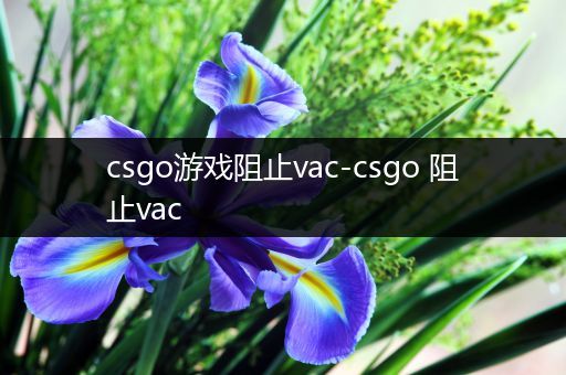 csgo游戏阻止vac-csgo 阻止vac